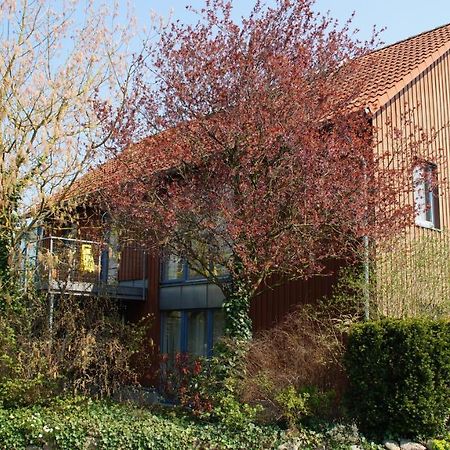 Gaestehaus/Fewos/Boardinghaus Lueneburg Sued ภายนอก รูปภาพ
