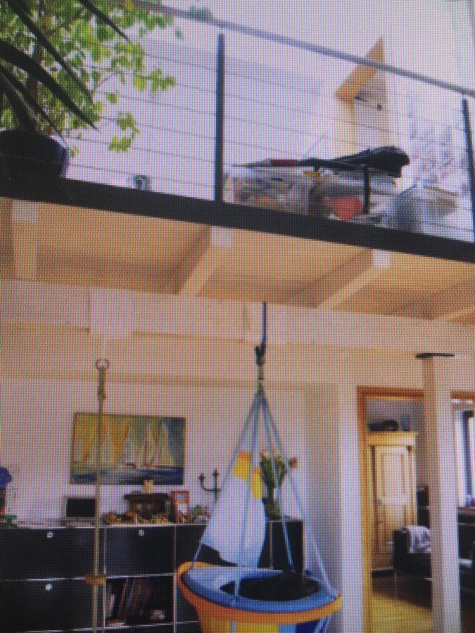 Gaestehaus/Fewos/Boardinghaus Lueneburg Sued ภายนอก รูปภาพ